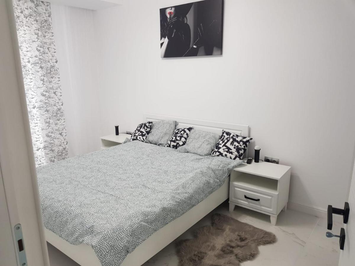 New Transilvania Apartment Kluż-Napoka Zewnętrze zdjęcie